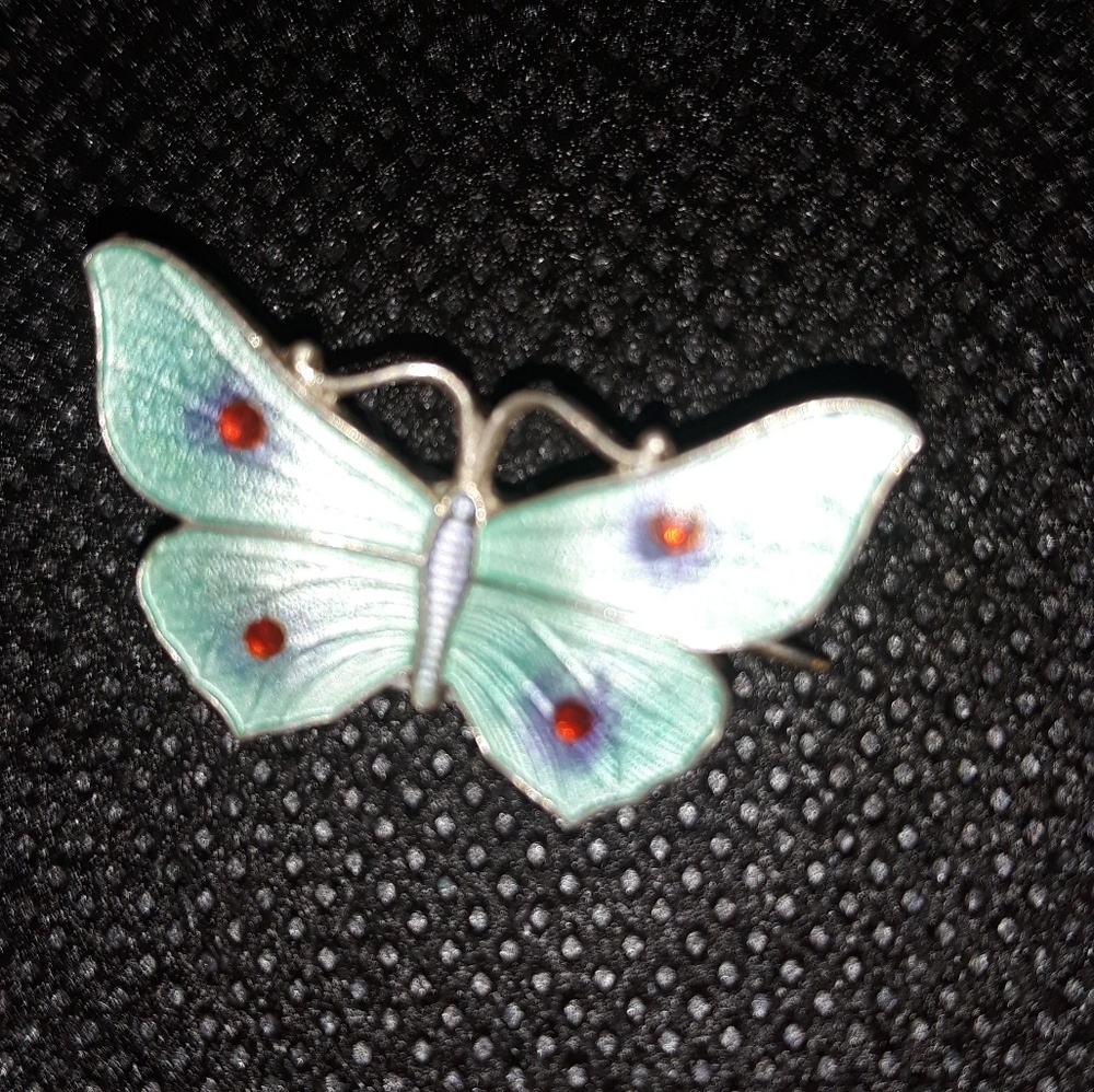 Brooch ,pin